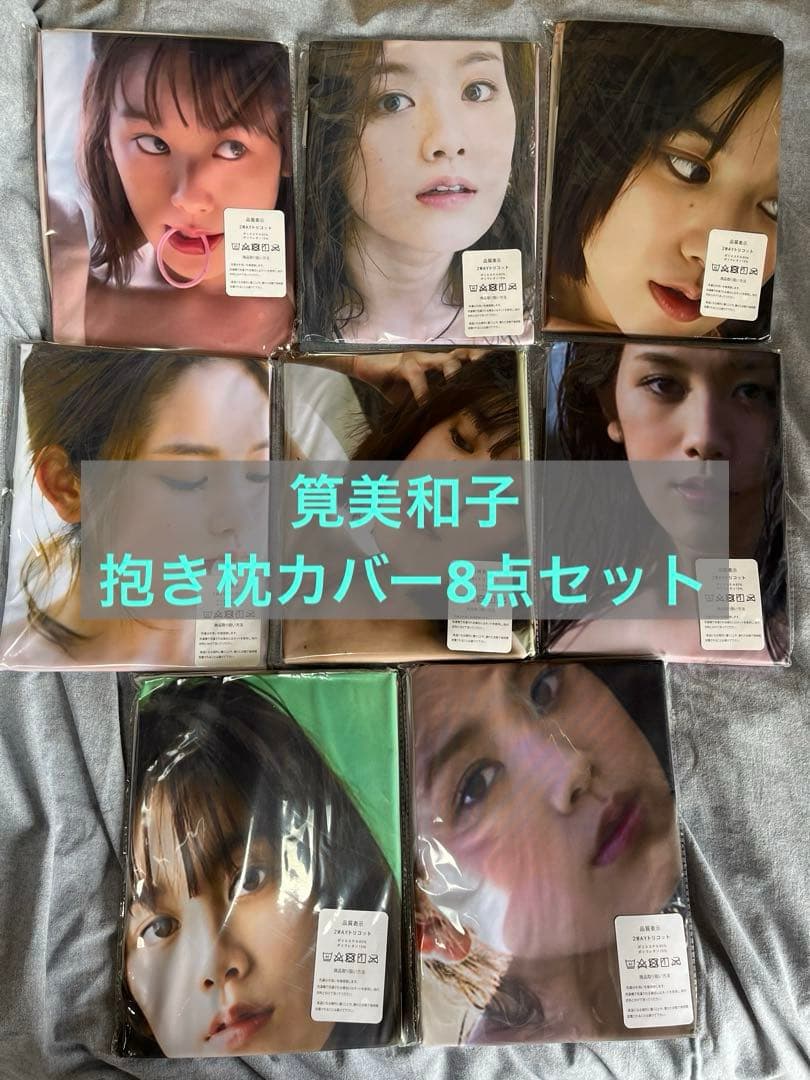 筧美和子　抱き枕カバー8点セット