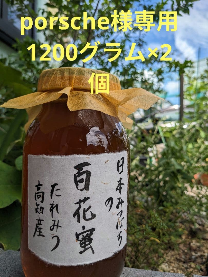 日本ミツバチ 蜂蜜 令和7年度 採れたて 1200g×2 たれ蜜 非加熱　百花蜜