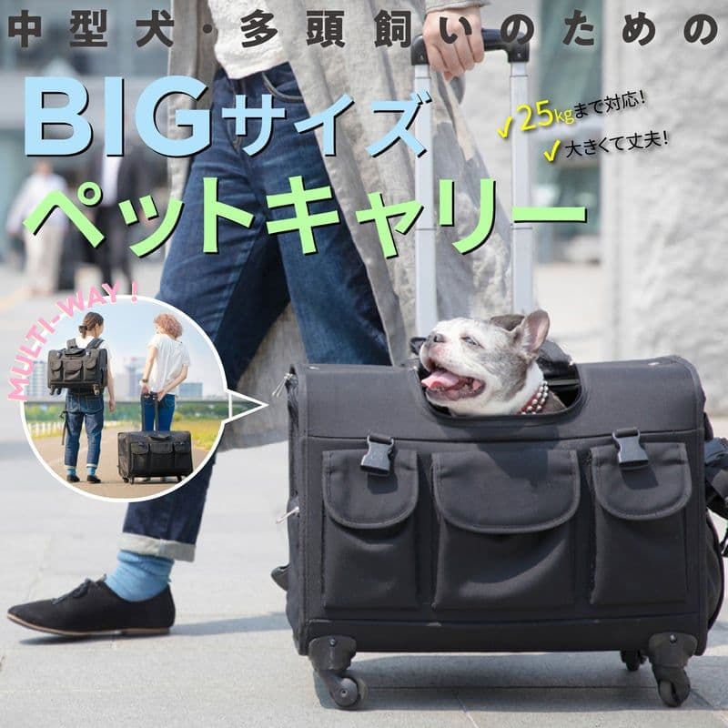 TAKE ME 2024モデルXLサイズ　ペット用キャリーバッグ　中型犬・多頭用