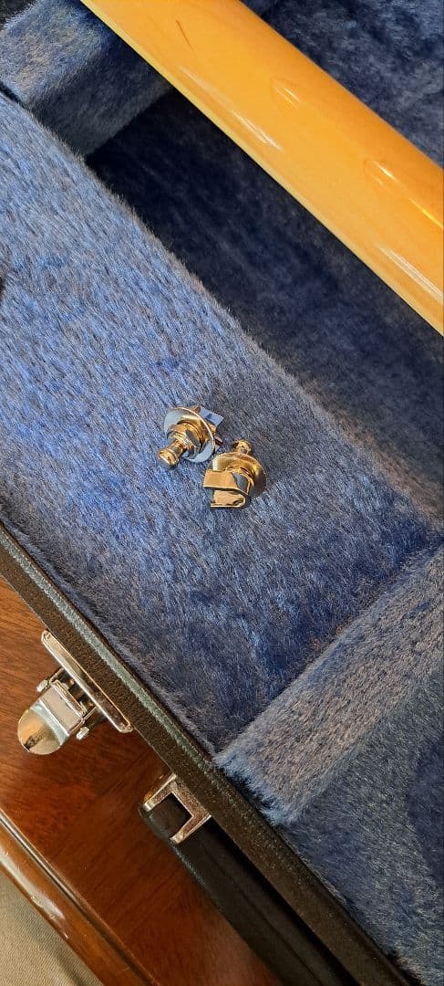 masaya.専用フェルナンデス MGサイケデリック　ハードケースセット