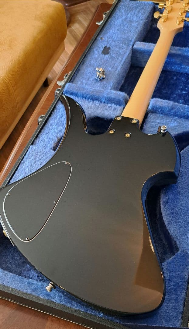 masaya.専用フェルナンデス MGサイケデリック　ハードケースセット