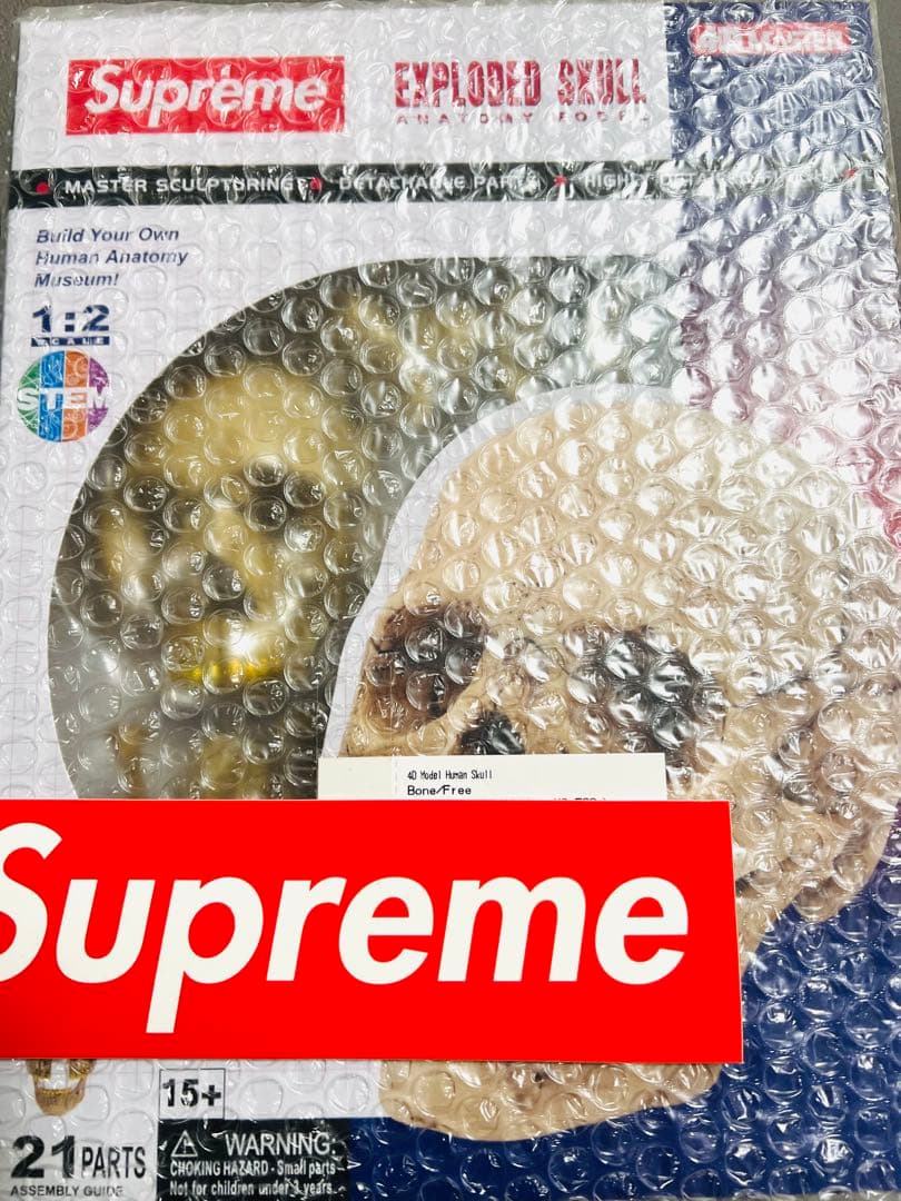 Supreme 4D Model Human Skull 完全未開封