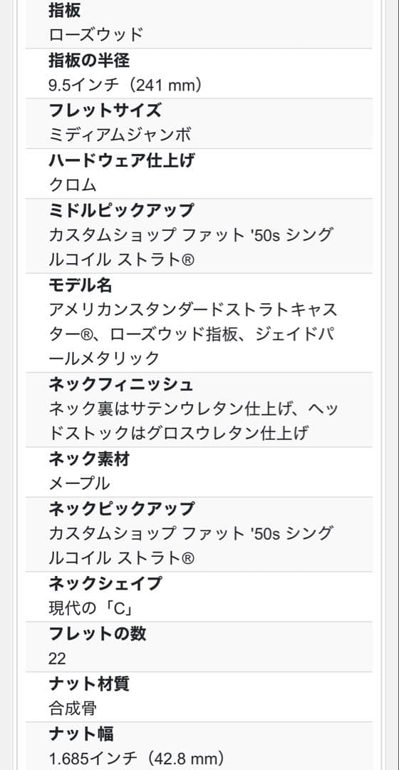 ⚫️ aksidmd さま専用⚫️ Fender Stratocaster