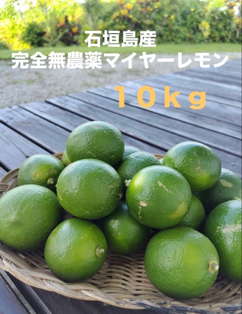 完全無農薬　石垣島産 マイヤーレモン １０kg