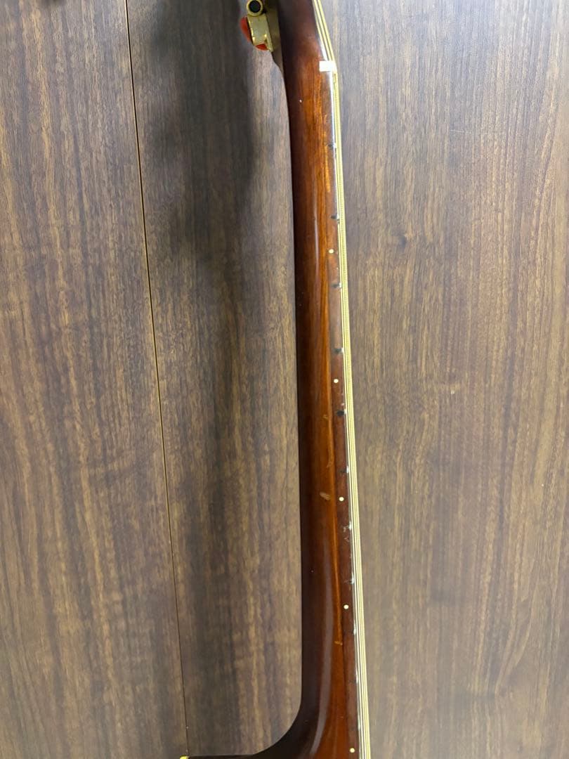 タカミネ　アコースティックギター　NPT-012BS