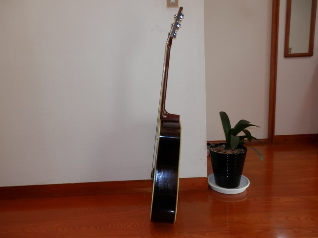 モーリス W-30 アコースティクギター