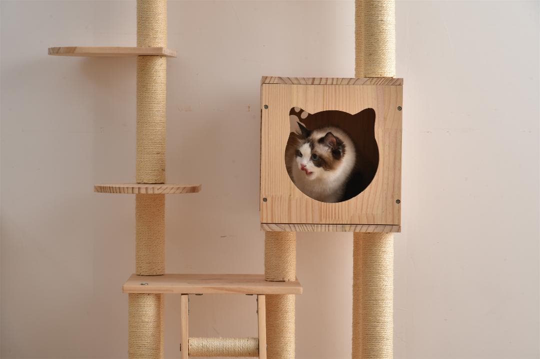 キャットタワー 透明宇宙船 頑丈 据え置き おしゃれ キャットタワー 木製