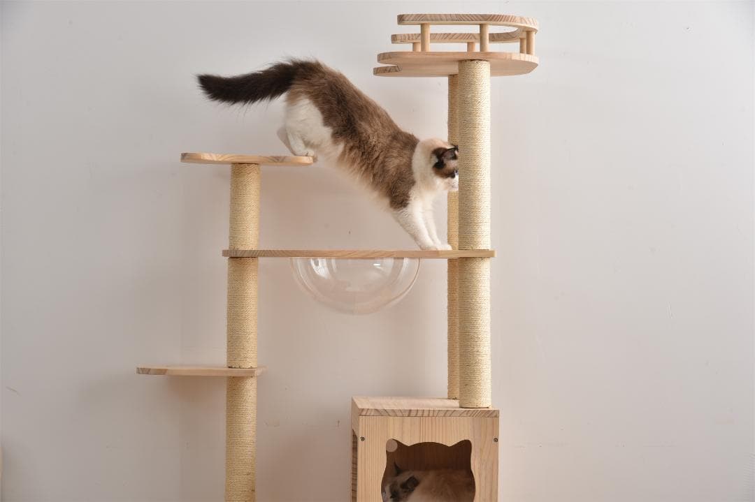 キャットタワー 透明宇宙船 頑丈 据え置き おしゃれ キャットタワー 木製