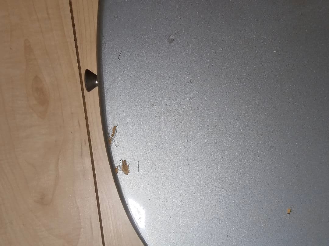 Burny レスポールタイプ エレキギター シルバー