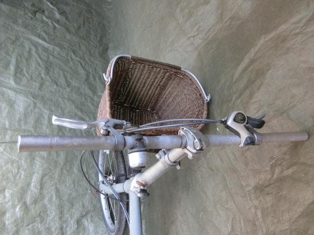 203：DAHON　Boardwalk 部品取等ジャンク　引取限定：埼玉県所沢市