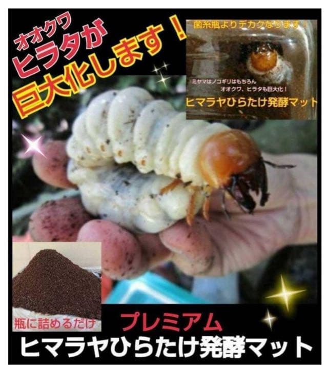ミヤマクワガタ、ノコギリ幼虫に抜群！800mlボトル入プレミアム発酵マット20本