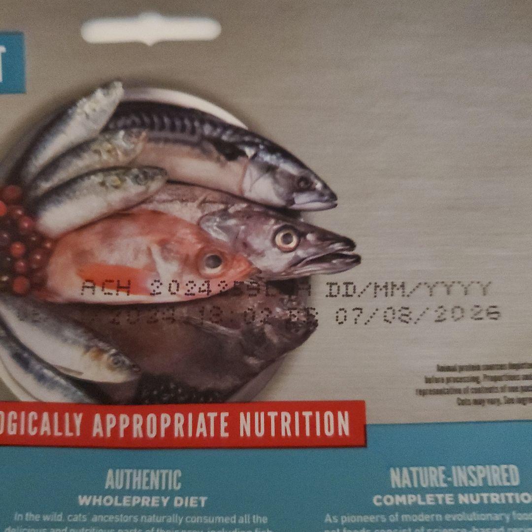 オリジン　Origin　シンドラキャット　シックスフィシュキャット　猫用