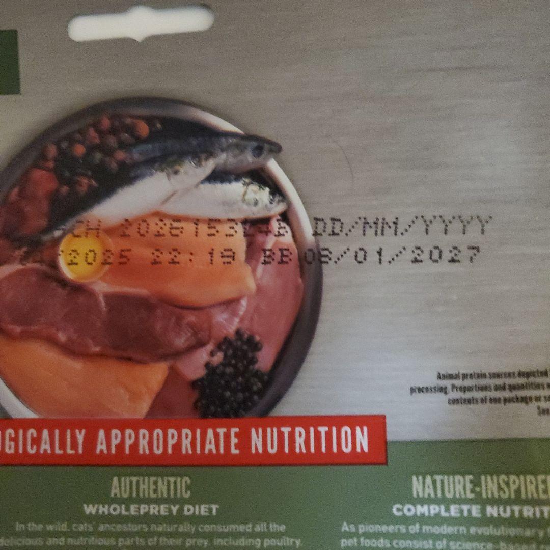 オリジン　Origin　シンドラキャット　シックスフィシュキャット　猫用