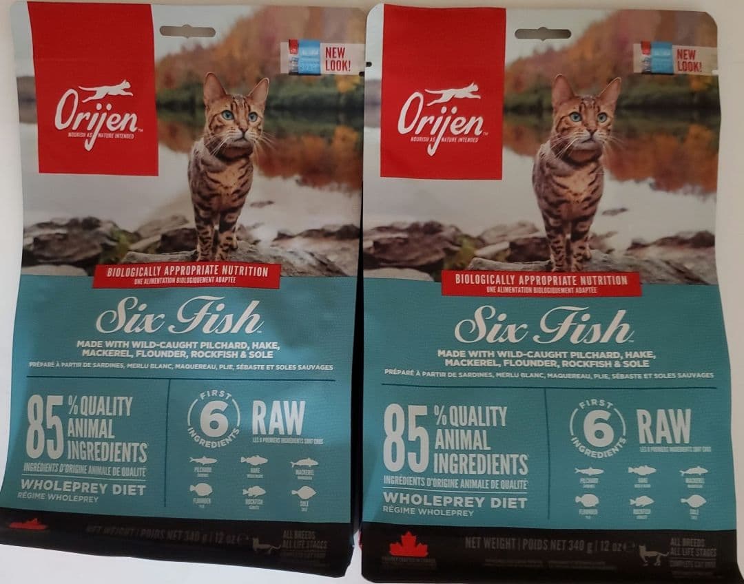 オリジン　Origin　シンドラキャット　シックスフィシュキャット　猫用