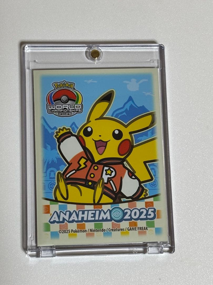 パラダイスリゾート WCS2025 top32