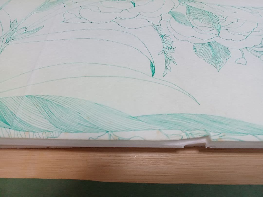 作者不明　「ネオタキシード」(仮題)　　肉筆ペン画　細密画　ヒグチユウコ彷彿