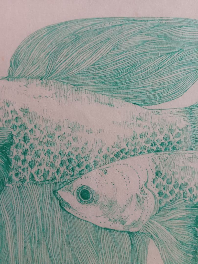 作者不明　「ネオタキシード」(仮題)　　肉筆ペン画　細密画　ヒグチユウコ彷彿