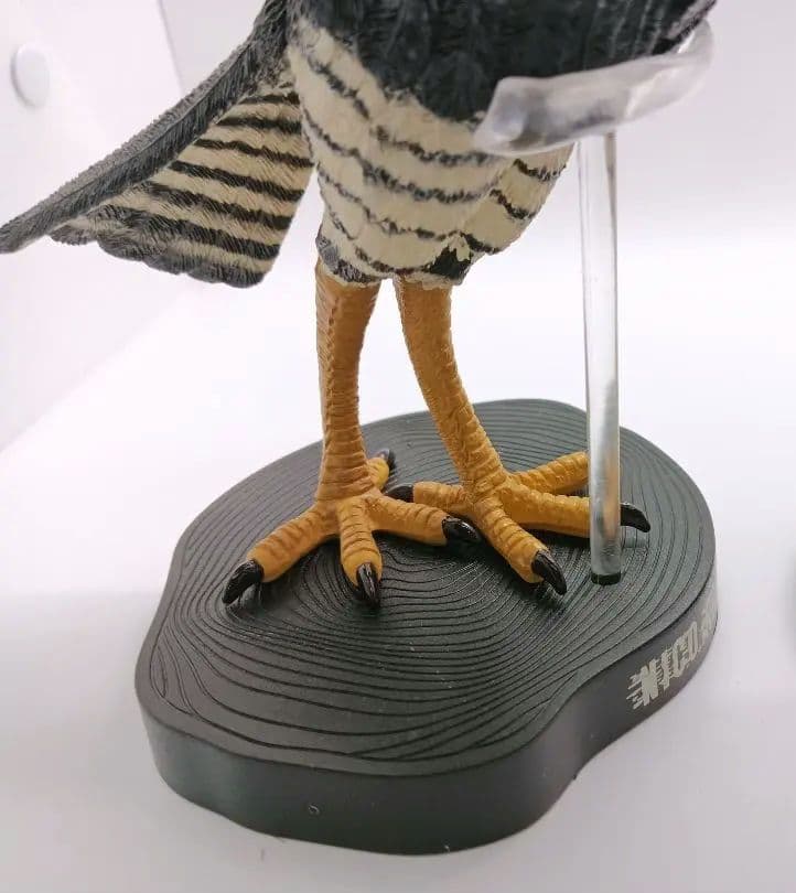 ワンピース zero 朝隈俊男 アニマルコラボ ニコ・ロビン