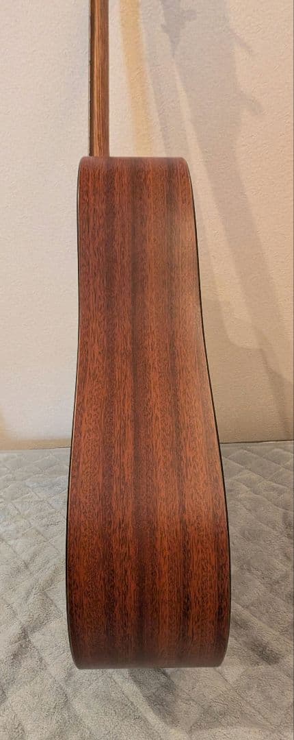 Martin & Co. DXM アコースティックギター マーチン　USA