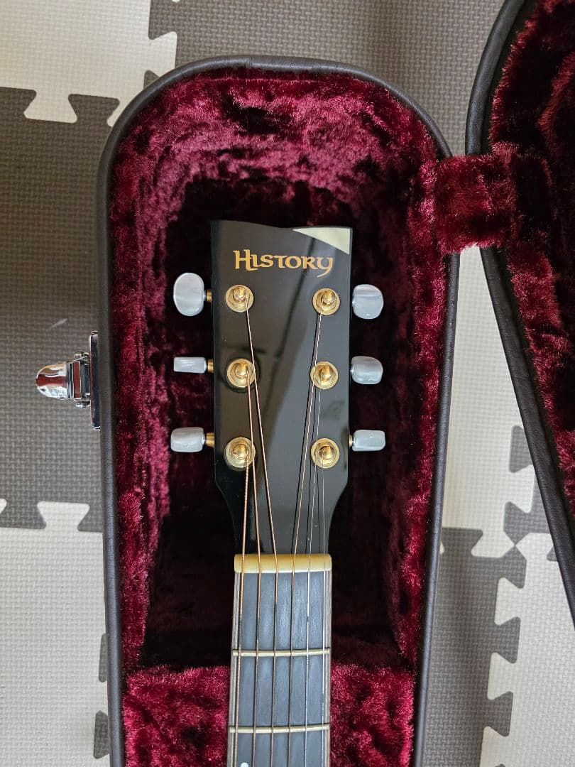 アコースティックギターHISTORY NT-301