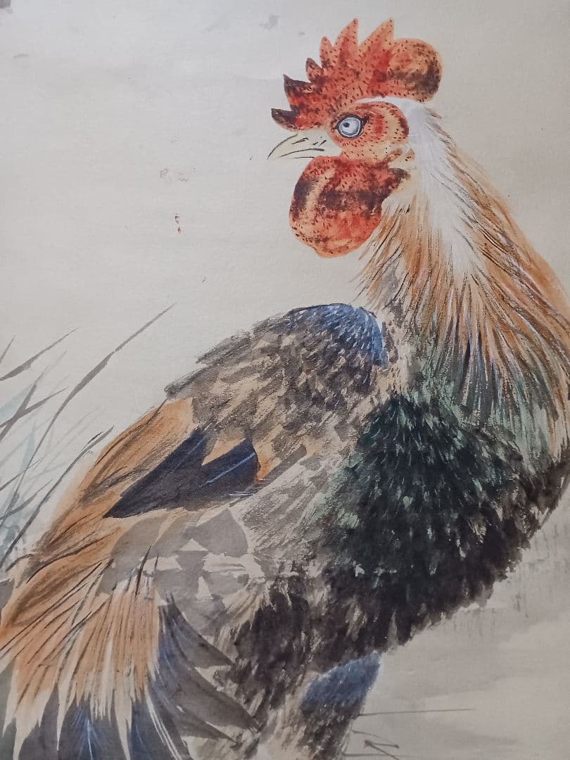 江戸屋の原画　掛軸　1350x415mm E770　鶏 立ち姿図 嶋田家蔵