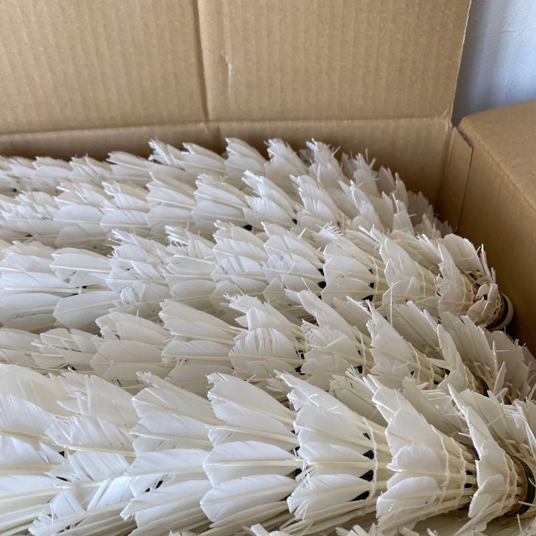 バドミントン　シャトル　820球