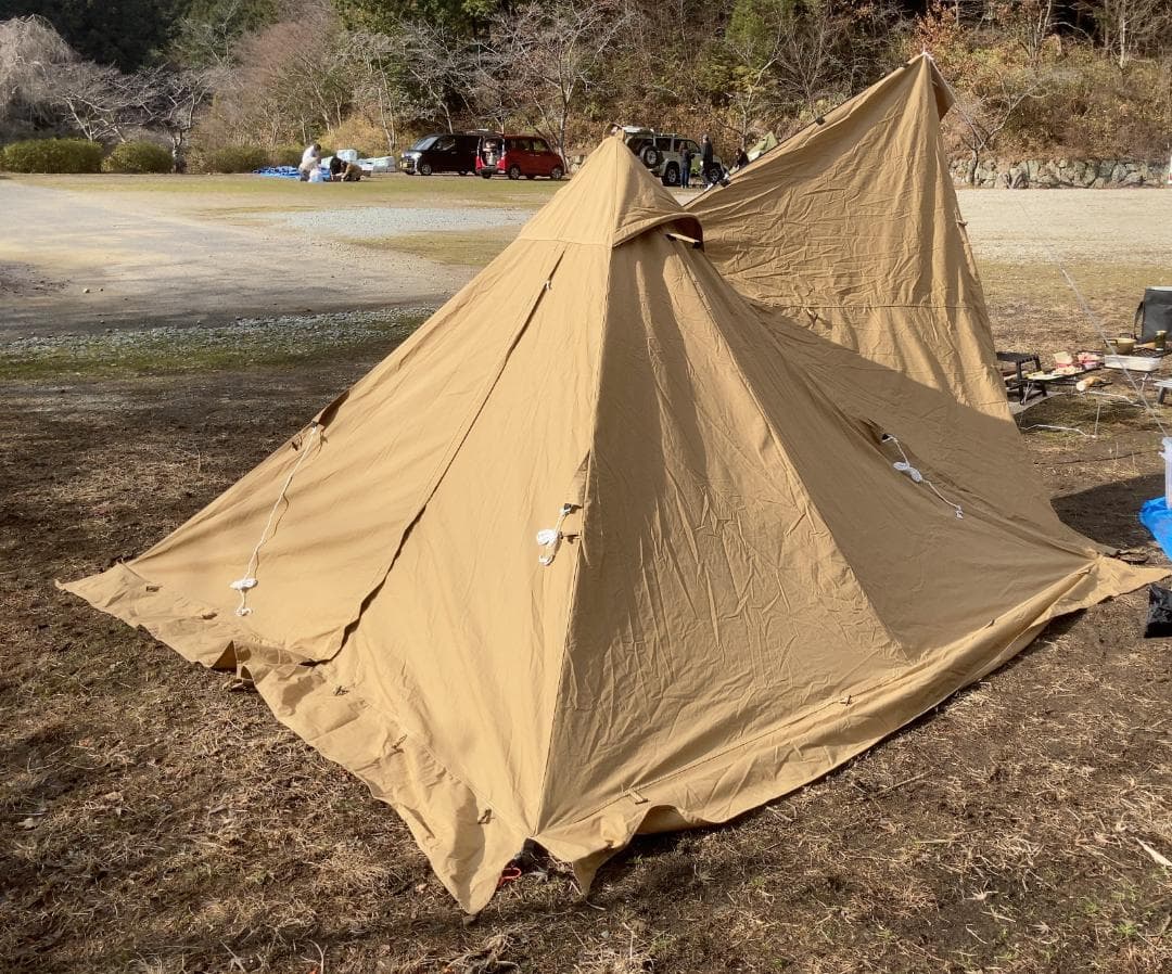 今日まで週末セール！WAQソロティピー　美品