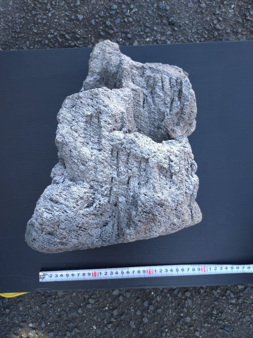 ADA 雲山石 XL 穴3個 水槽 レイアウト石 水槽レイアウト 水槽用石