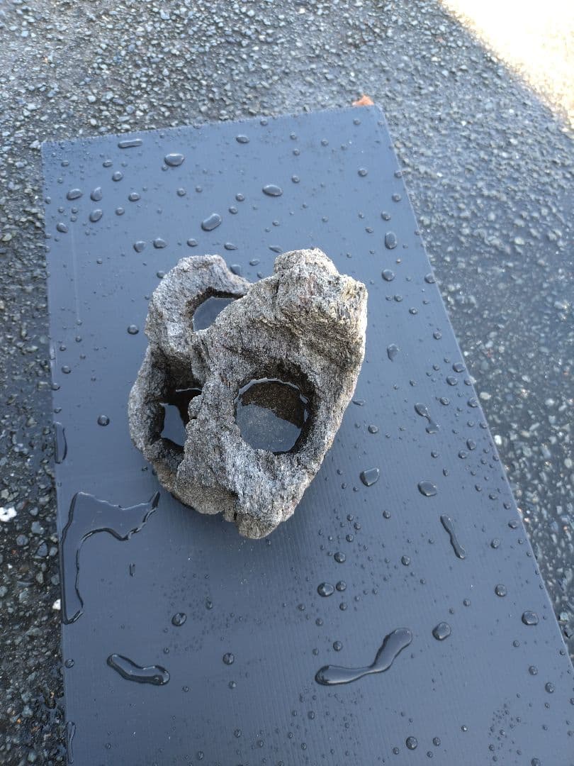 ADA 雲山石 XL 穴3個 水槽 レイアウト石 水槽レイアウト 水槽用石