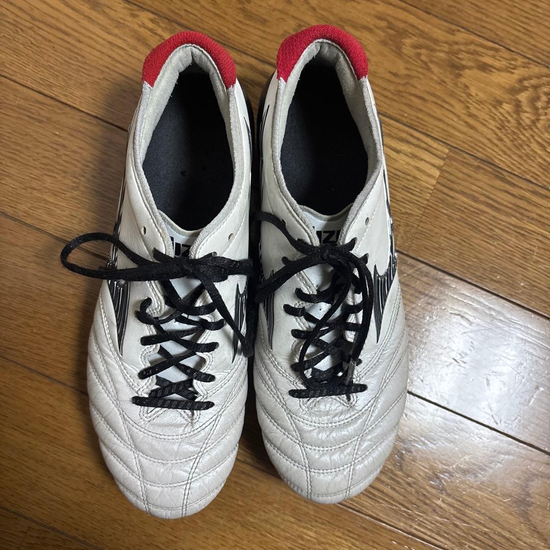 モレリアスパイク