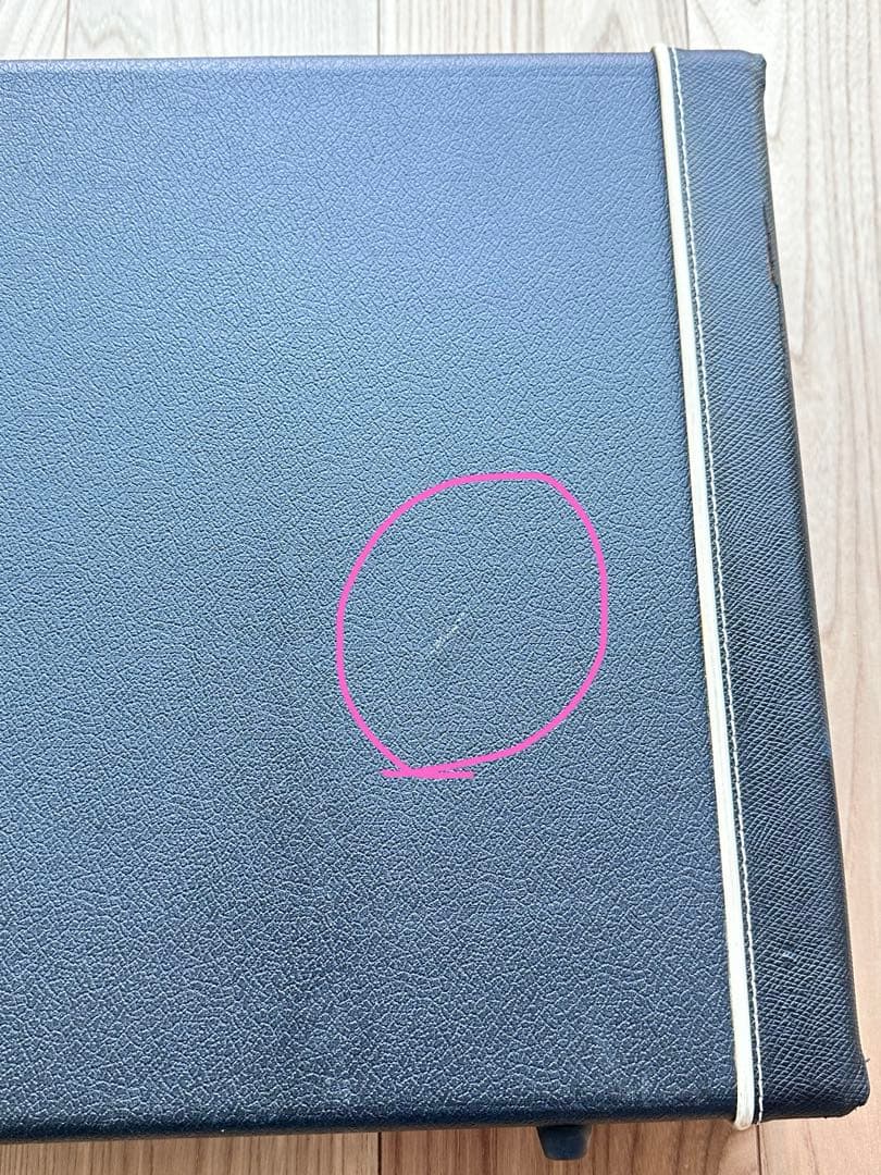 モズライト mosrite ギター 黒雲 ハードケース付き