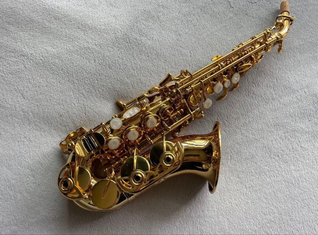 【今月限定新品】カーブドソプラノサックス 唯一無二の音色！動画あり・豪華特典つき