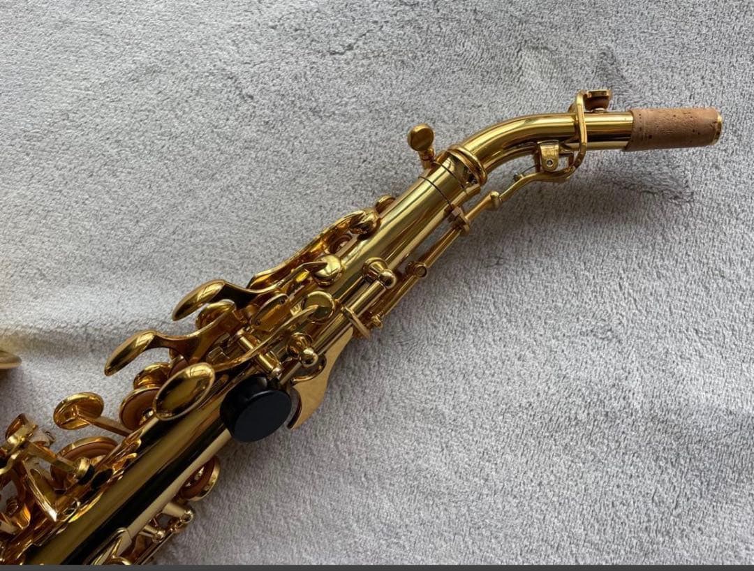 【今月限定新品】カーブドソプラノサックス 唯一無二の音色！動画あり・豪華特典つき