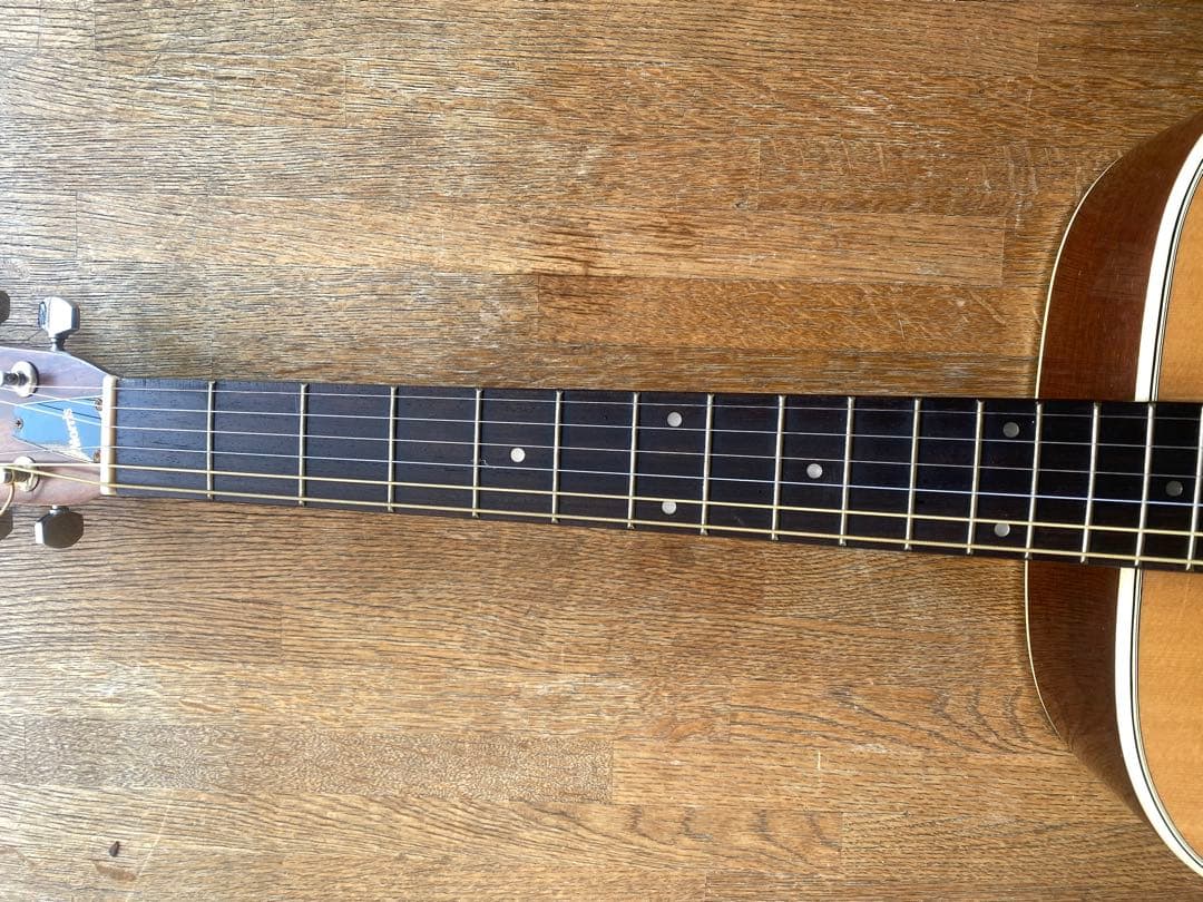 アコースティックギター MORRIS W-18