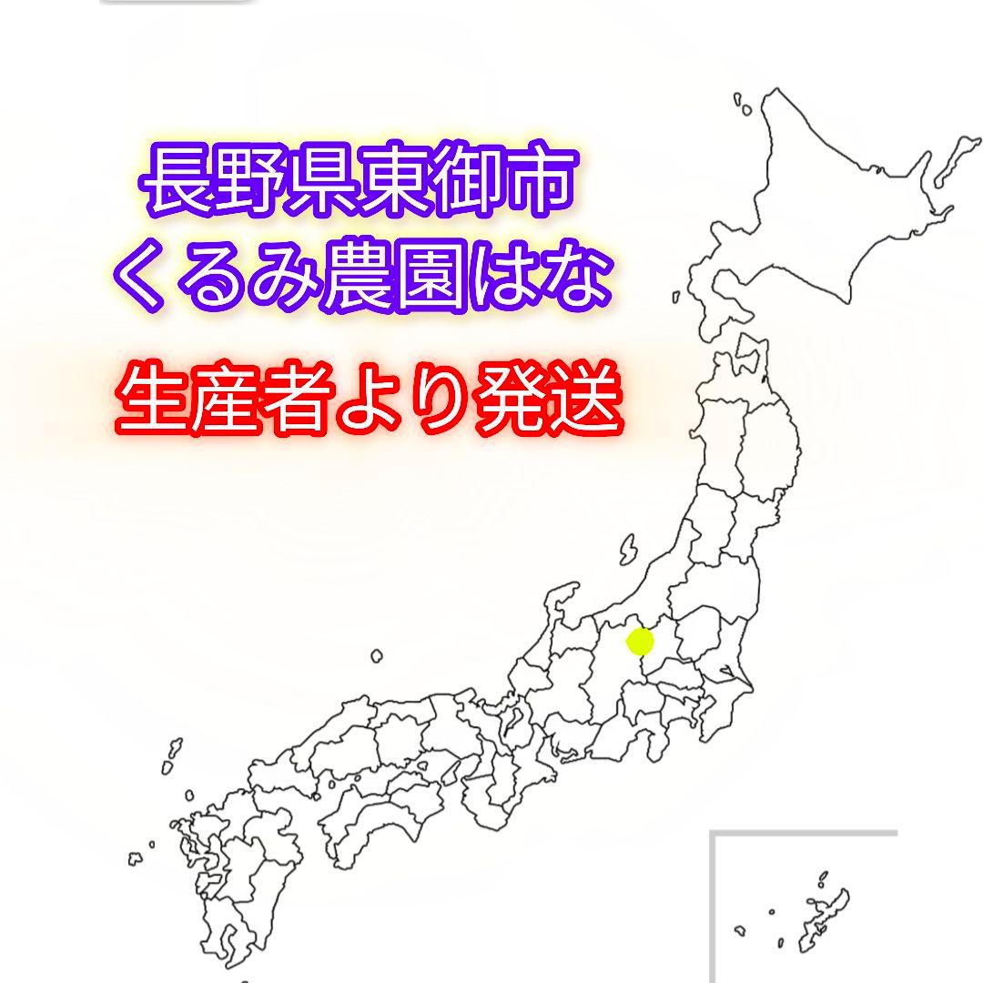 MARIKURI商品 25年 長野県 東御市 信濃くるみ サイズ小10kg