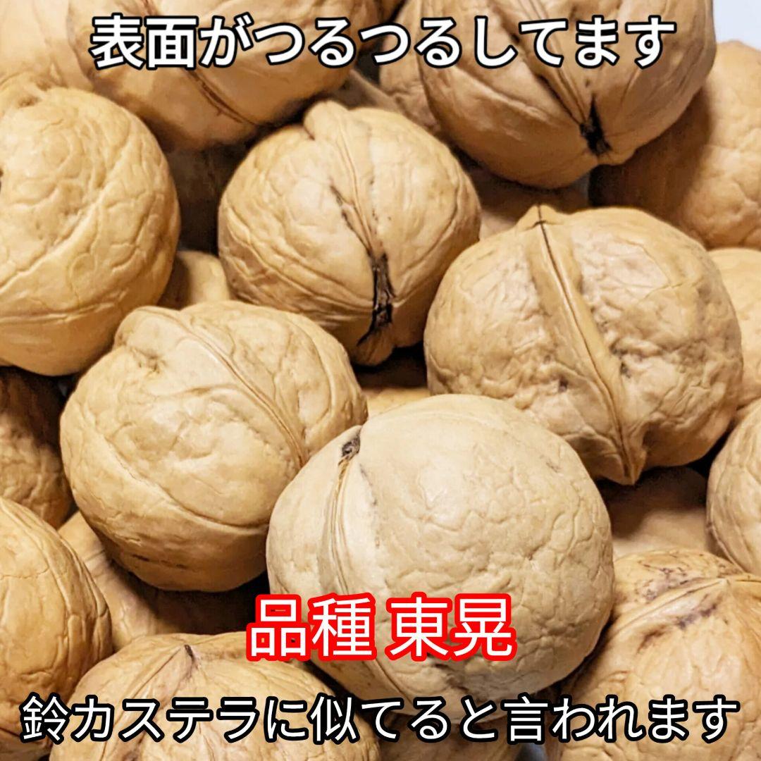 MARIKURI商品 25年 長野県 東御市 信濃くるみ サイズ小10kg