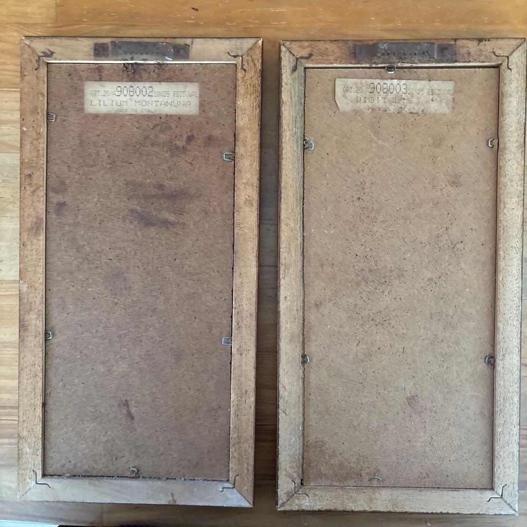 Lilium Montanum & Digitalis flower リトグラフ