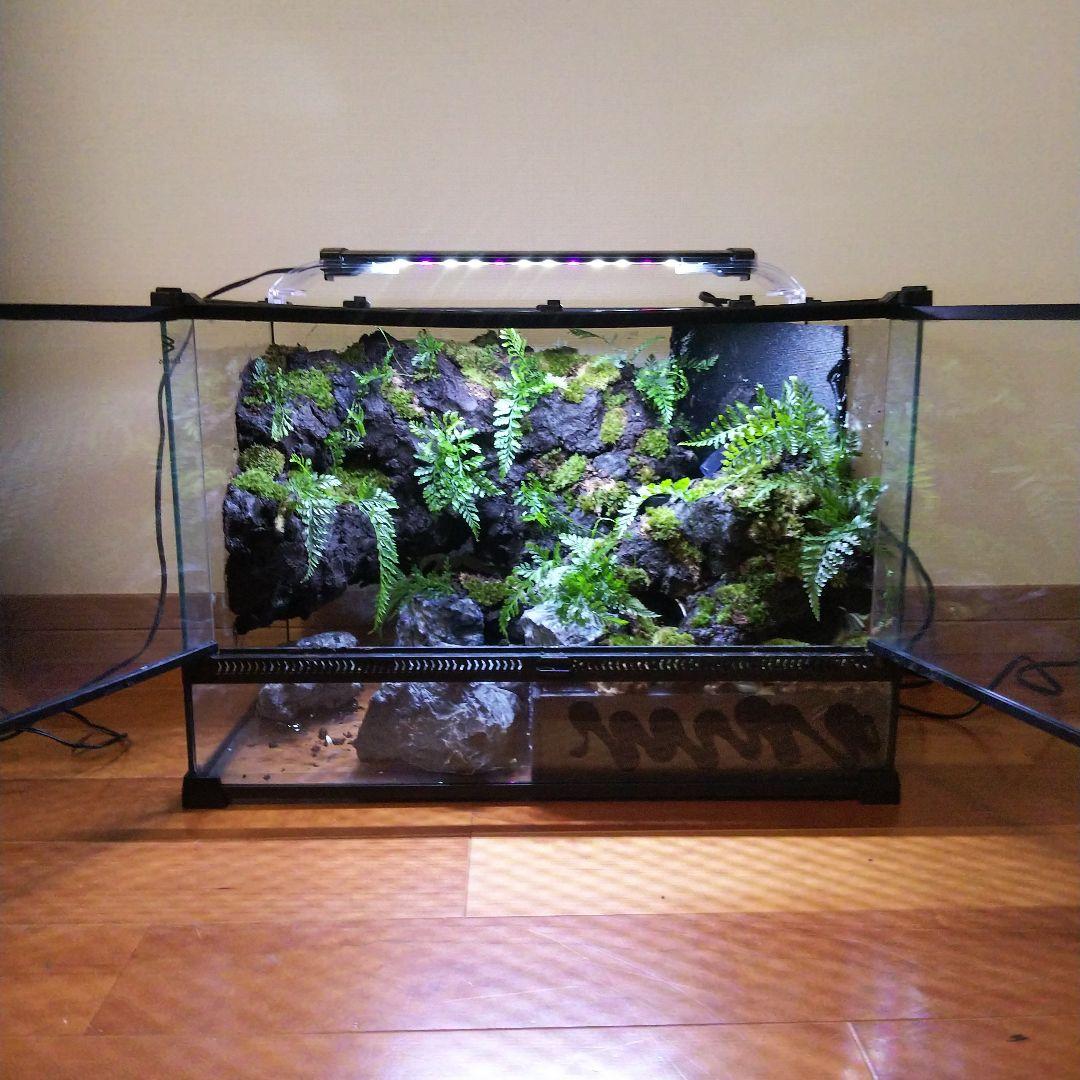 アクアテラリウム