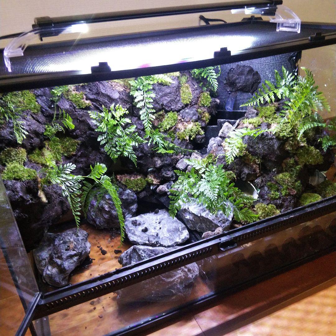 アクアテラリウム