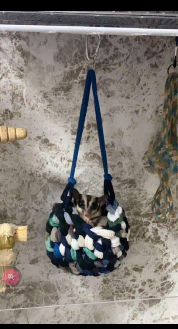 モモンガかごポーチ♡カラーお任せ１個♡中サイズ♡ハンギングバスケット