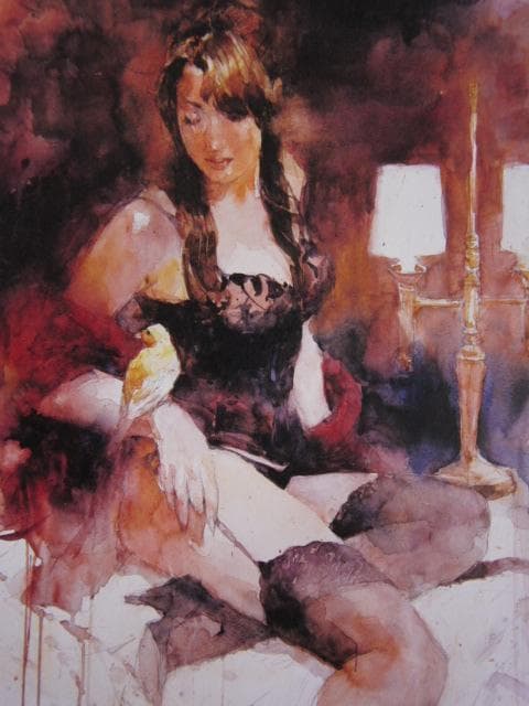 醍醐芳晴、GIRL　WITH　BIRD、希少な画集より、新品高級額・額装付