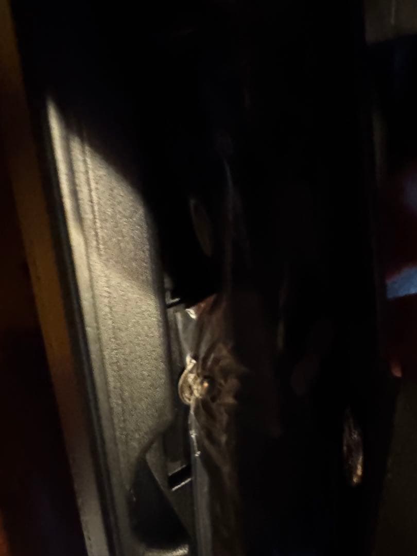 MAX ワードライター　BL-120 箱付き超美品（未使用）