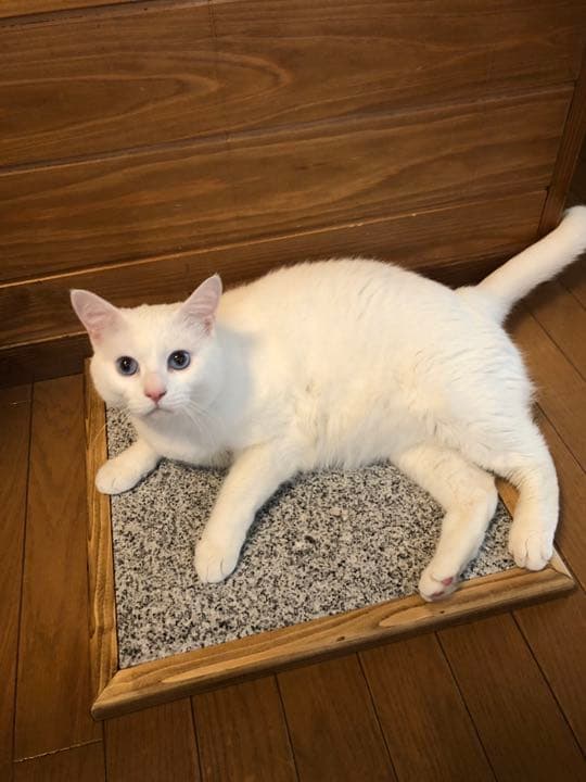 ☆★ペット用ひんやり石マット☆★