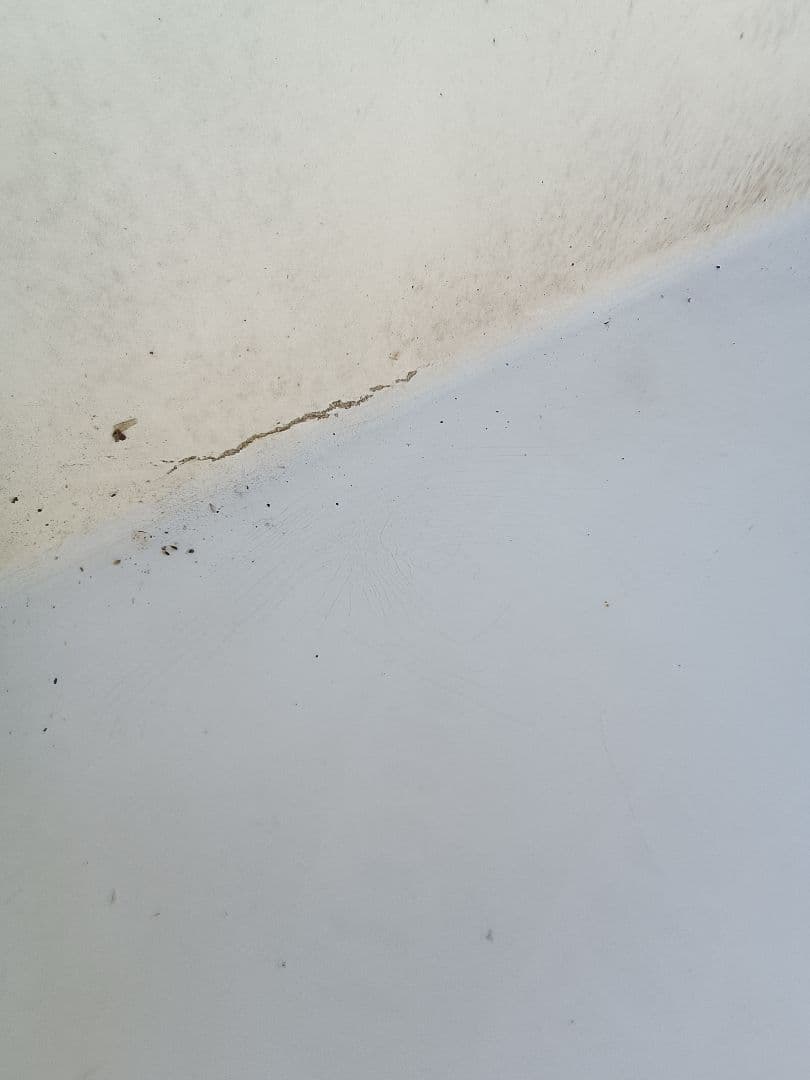 引き取り限定 茨城県大洗町 大型水槽 タンク 2つセット FRP 生簀 養殖