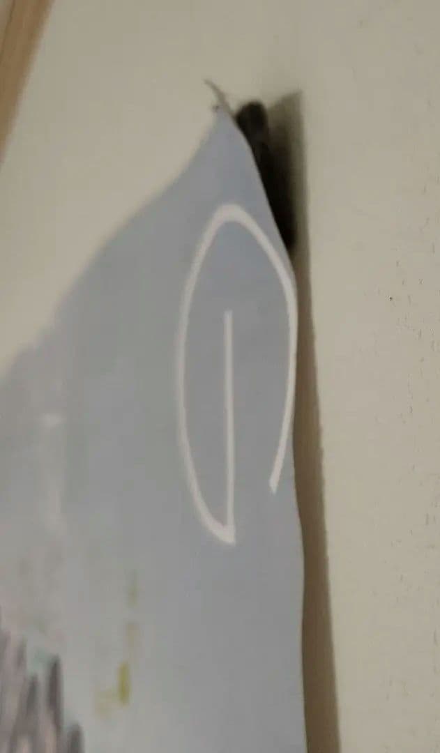 乃木坂46　直筆サインポスター