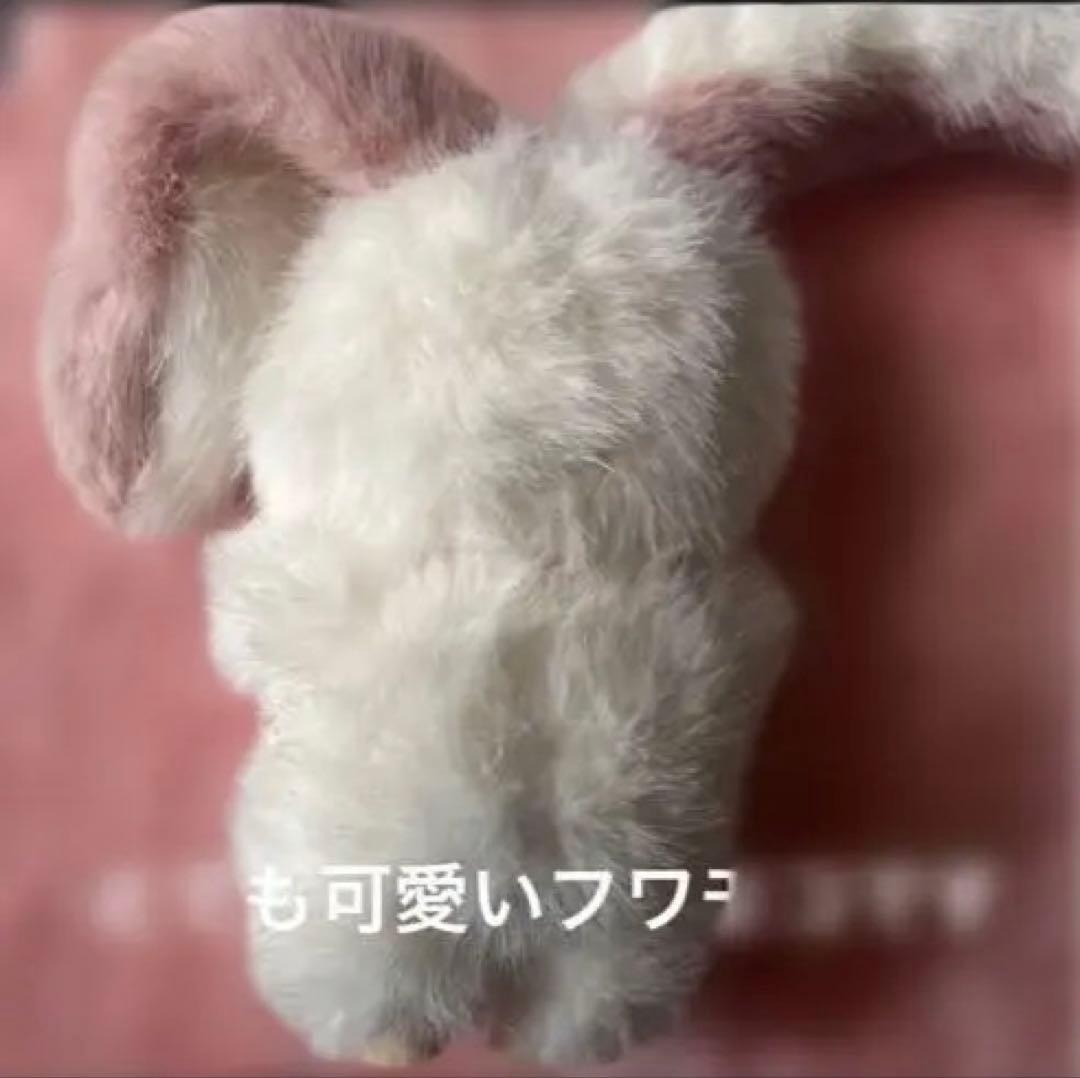 超可愛いうさぎらぶぶ