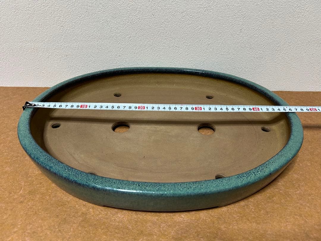 碧水　盆栽鉢　山野草