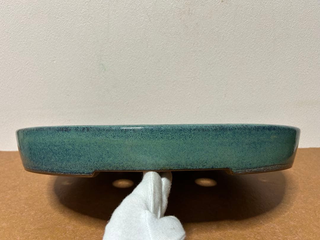 碧水　盆栽鉢　山野草