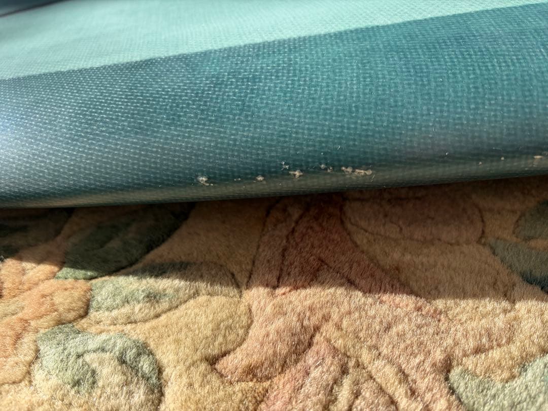 Deus”TAPPY”Genesis 9.4