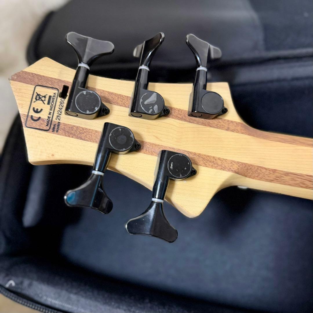 Sire M5 Ash-5NT 専用ケース付 軽量5弦ベース　送料込み